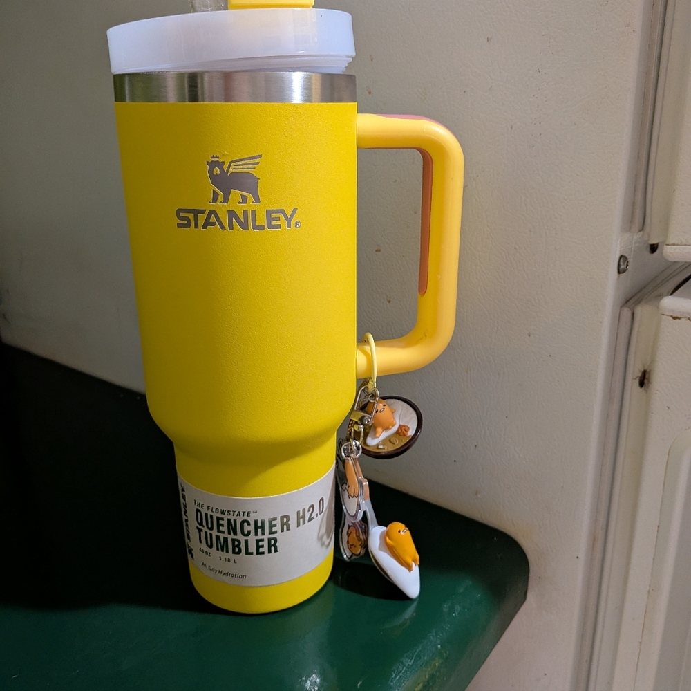 FUN New 40oz Stanley Tumbler " The Eggs Have Left The Building!"